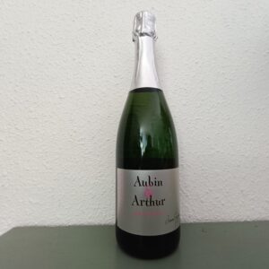 Arthur-et-Aubin-Domaine-Serres-Mazard-